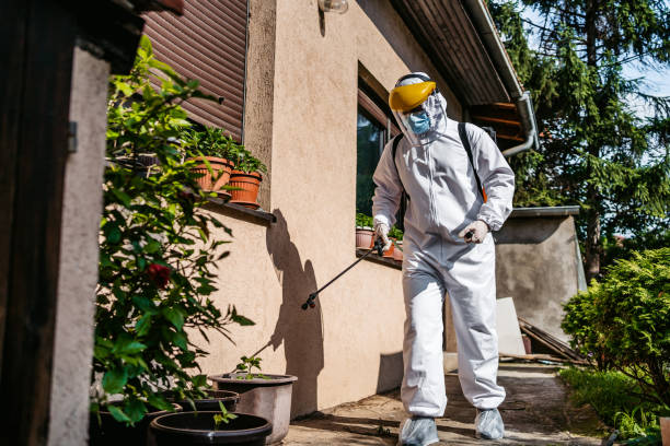 Best Exterminator Services  in Chinchilla, PA