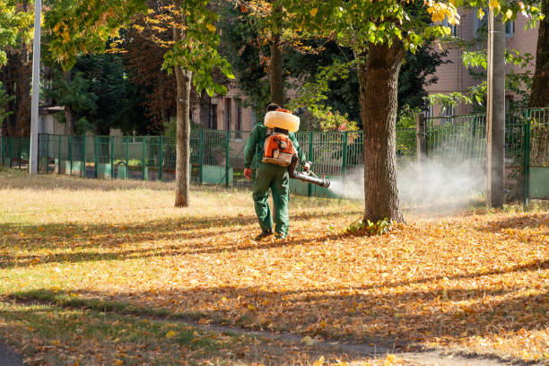 Best Flea Control Services  in Chinchilla, PA