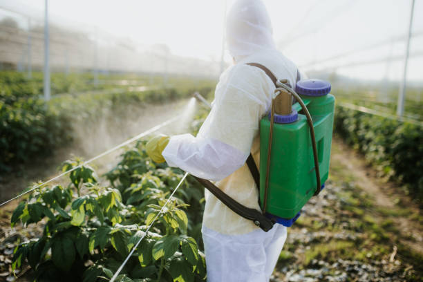 Best Emergency Pest Control  in Chinchilla, PA